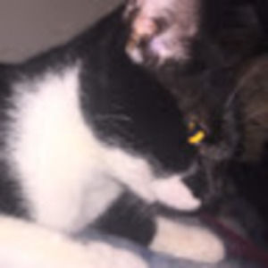 Meet your Posher, Jimena